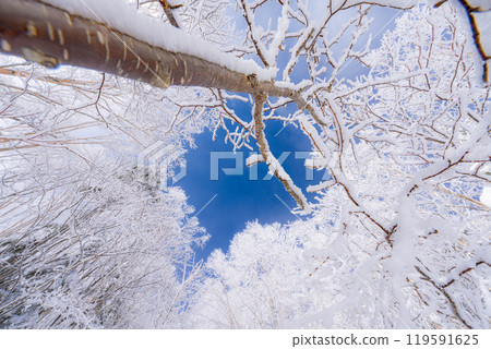 [白霜的材質]白與藍、白霜與藍天的世界[長野縣] 119591625