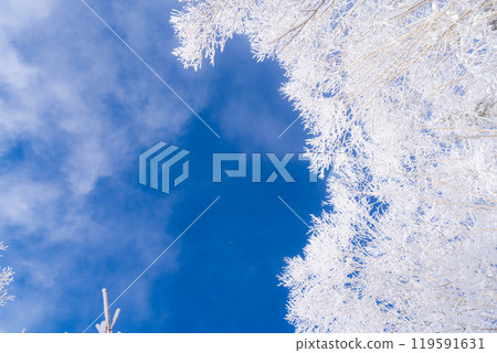 [Material of hoarfrost] A world of white and blue, hoarfrost and blue sky [Nagano Prefecture] 119591631