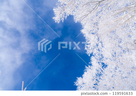 [Material of hoarfrost] A world of white and blue, hoarfrost and blue sky [Nagano Prefecture] 119591633