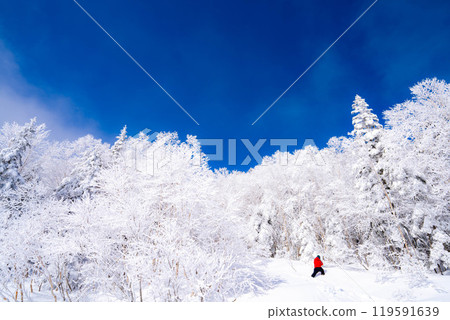 [Material of hoarfrost] A world of white and blue, hoarfrost and blue sky [Nagano Prefecture] 119591639