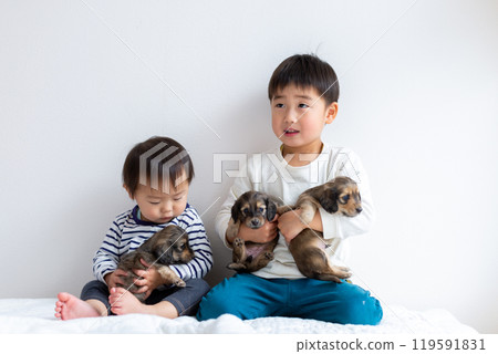 Children playing with their pet dog, Dachshund, puppy Children playing with their pet dog, Dachshund, puppy 119591831
