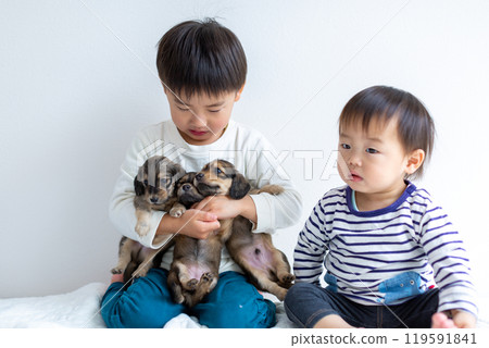 孩子們和心愛的狗狗臘腸狗玩耍 119591841
