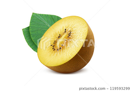 金色獼猴桃插畫現實白色背景 119593299