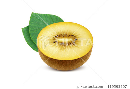 Gold kiwi illustration realistic white background Gold kiwi illustration realistic white background 119593307