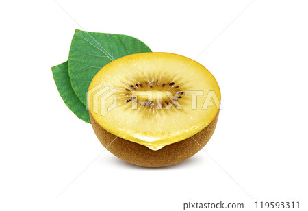金色獼猴桃插畫現實白色背景 119593311