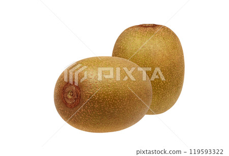 Gold kiwi illustration realistic white background Gold kiwi illustration realistic white background 119593322