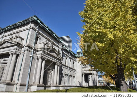 Autumn leaves on Midosuji street, clear autumn scenery Autumn leaves on Midosuji street, clear autumn scenery 119593323