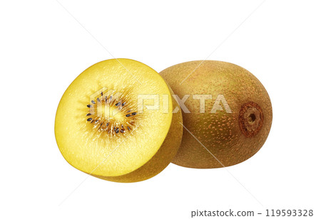 Gold kiwi illustration realistic white background 119593328