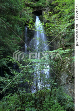 Nagasawa Falls, Kuguri Falls (Tsuno Town, Kochi Prefecture) Nagasawa Falls, Kuguri Falls (Tsuno Town, Kochi Prefecture) 119593542