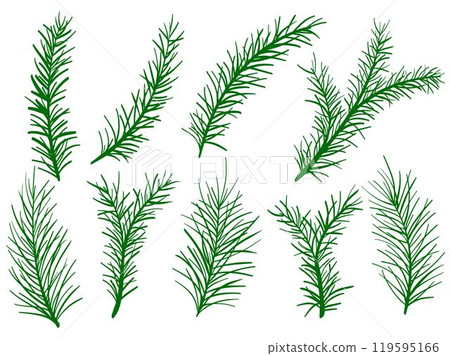 Hand drawn spruce and pine branches set 119595166