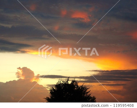 美麗的日落 119595408