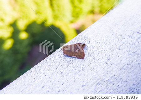 Chinese Braided Hat Chinese Braided Hat 119595939