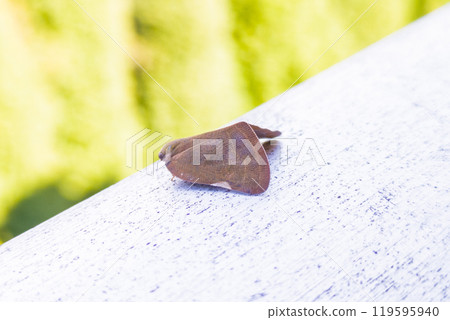 Chinese Braided Hat 119595940