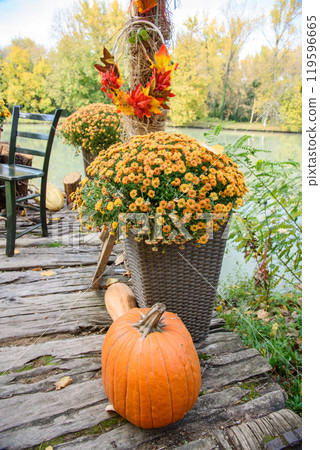 Autumn Halloween pumpkin decorations in a park background 119596665