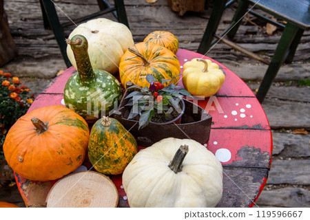 Autumn Halloween pumpkin decorations in a park background 119596667