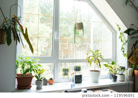 Window cleaning products are lying on the windowsill with a rag, spray, detergent, a robot cleaner. Spring cleaning in the house, cleaning service 119596891