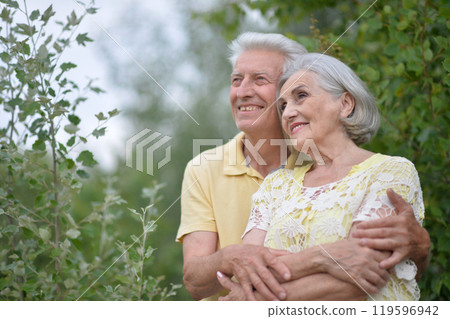 Beautiful elderly couple walking in the park Beautiful elderly couple walking in the park 119596942