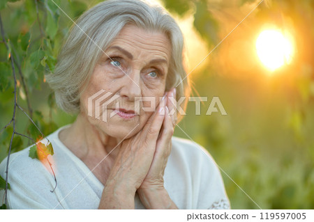 Portrait of a beautiful elderly woman in the park Portrait of a beautiful elderly woman in the park 119597005
