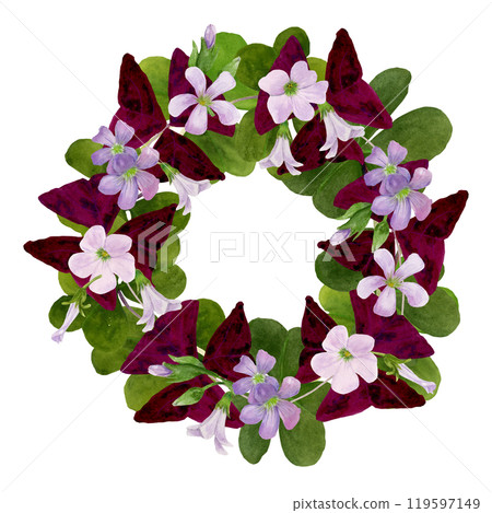 Watercolor frame illustration of vibrant Oxalis Triangularis isolated on white background. Watercolor frame illustration of vibrant Oxalis Triangularis isolated on white background. 119597149