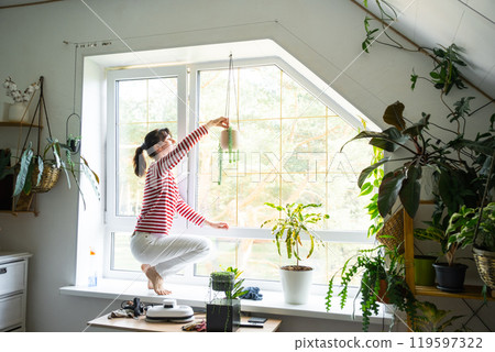 Woman takes care of the sedum in a hanging pot on the window in the interior of the house Woman takes care of the sedum in a hanging pot on the window in the interior of the house 119597322