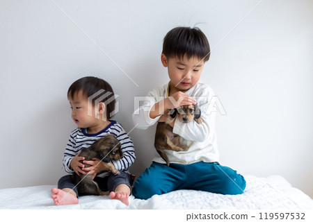 Children playing with their pet dog, Dachshund, puppy 119597532