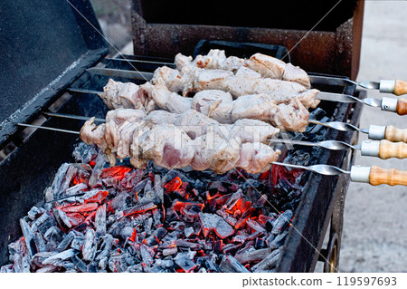 cooking meat on coals. Barbecue with firewood 119597693