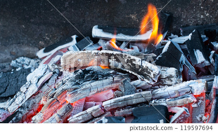 cooking meat on coals. Barbecue with firewood cooking meat on coals. Barbecue with firewood 119597694