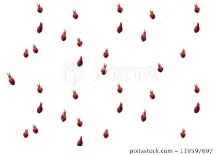 Pattern of dried rosehip berries on a white background. Cut out isolated. Natural Vitamins from Berries 119597697