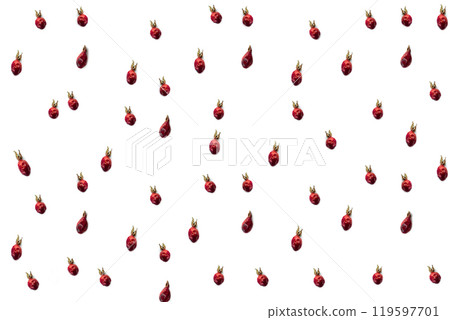 Pattern of dried rosehip berries on a white background. Cut out isolated. Natural Vitamins from Berries Pattern of dried rosehip berries on a white background. Cut out isolated. Natural Vitamins from Berries 119597701