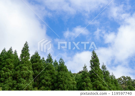 與藍天、雲彩和樹的風景 與藍天、雲彩和樹的風景 119597740