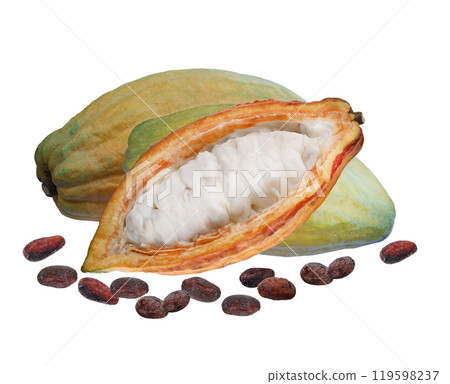 fresh cocoa fruit with half sliced and seeds isolated on white background. fresh cocoa fruit with half sliced and seeds isolated on white background. 119598237