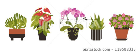 A set of vector illustrations with flowers in flower pots: aloe, orchid, anthurium, azalea, cactus 119598333