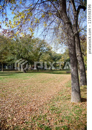 Ada Ciganlija river island turned into a park and a lake, located on the Sava river in central Belgrade, Serbia Ada Ciganlija river island turned into a park and a lake, located on the Sava river in central Belgrade, Serbia 119598396