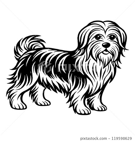 maltese dog full body icon. Black and white logo, dog silhouette, engraving style. Pet character.  119598629
