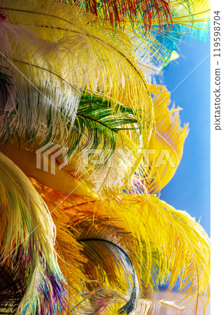 Plumes used in carnival costumes in Brazil 119598704