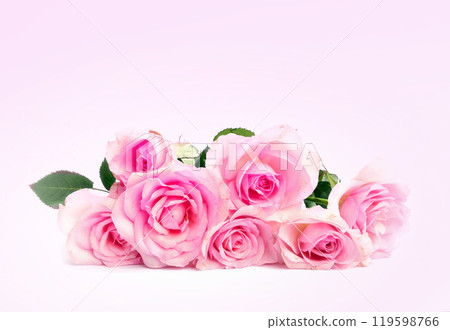 Bouquet of pink roses on pink background Bouquet of pink roses on pink background 119598766