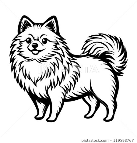 pomeranian dog full body icon. Black and white logo, dog silhouette, engraving style. Pet character.  119598767