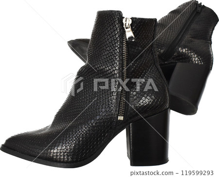 Black chunky heels boots isolated on white, reptile leather ankle boots for women, basic snake skin fall boots Black chunky heels boots isolated on white, reptile leather ankle boots for women, basic snake skin fall boots 119599293