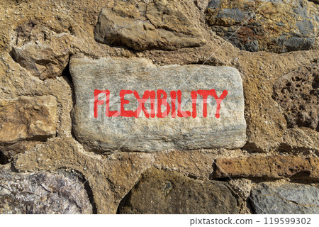 Flexibility symbol. Concept word Flexibility on beautiful grey volcanic stone. Beautiful red stone wall background. Business flexibility concept. Copy space. 119599302