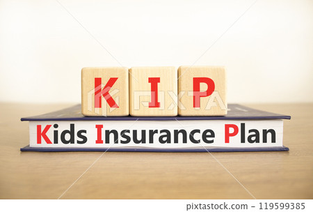 KIP kids insurance plan symbol. Concept words KIP kids insurance plan on beautiful wooden blocks and book. Beautiful white background. Business KIP kids insurance plan concept. Copy space. 119599385