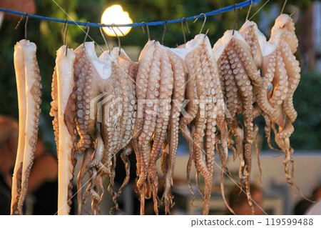 Fresh Octopus hanging up to dry 119599488