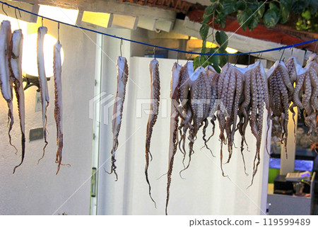 Octopus tentacles hanging up to dry Octopus tentacles hanging up to dry 119599489