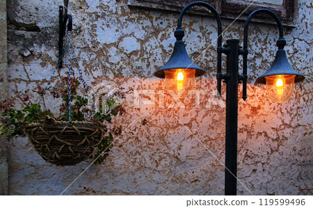 Vintage streetlight and hanging flower pot 119599496