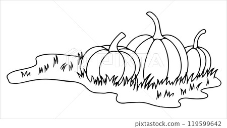 Coloring. Lawn with pumpkins. Vector drawing for Thanksgiving, autumn harvest festival. Drawing in doodle style. 119599642