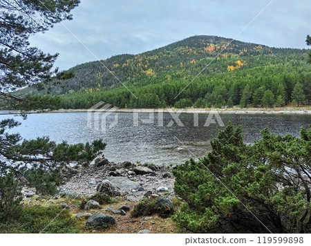 Serene autumn landscape at Kandalaksha, Kola Peninsula with tranquil waters of White sea and vibrant foliage Serene autumn landscape at Kandalaksha, Kola Peninsula with tranquil waters of White sea and vibrant foliage 119599898