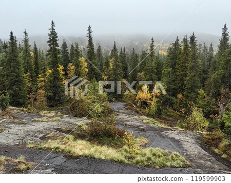 Exploring the serene Volosyanaya mountain in Kandalaksha, Kola Peninsula during autumn's misty beauty Exploring the serene Volosyanaya mountain in Kandalaksha, Kola Peninsula during autumn's misty beauty 119599903