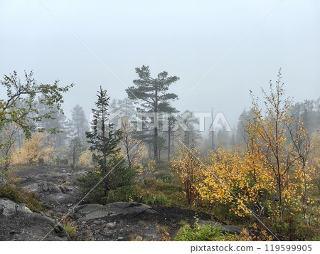 Exploring the misty Volosyanaya mountain in Kandalaksha on the Kola Peninsula during autumn foliage Exploring the misty Volosyanaya mountain in Kandalaksha on the Kola Peninsula during autumn foliage 119599905