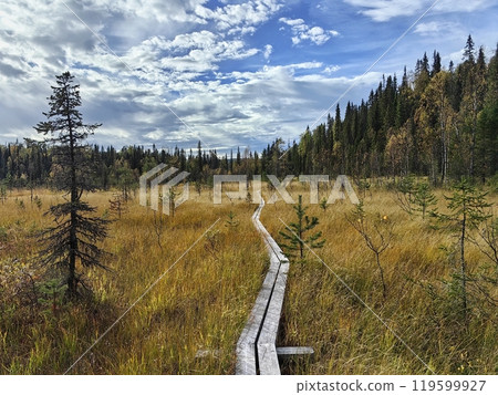 A wooden walkway meanders through the golden grasslands of Paanajarvi National Park, Karelia A wooden walkway meanders through the golden grasslands of Paanajarvi National Park, Karelia 119599927