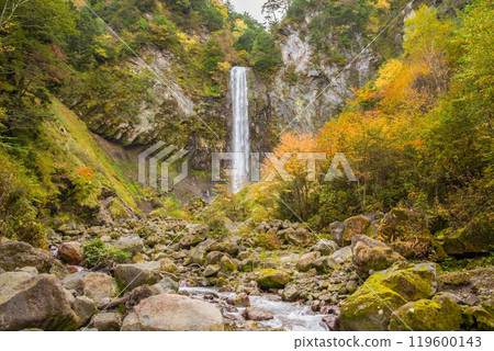 Autumn at Hirayu Falls (Hirayu Onsen, Okuhida Onsen Village) Autumn at Hirayu Falls (Hirayu Onsen, Okuhida Onsen Village) 119600143