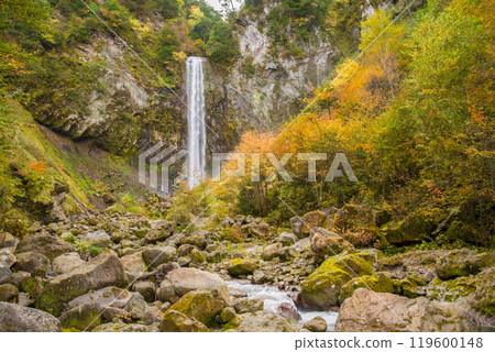 Autumn at Hirayu Falls (Hirayu Onsen, Okuhida Onsen Village) 119600148